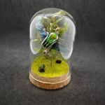 Cloche entomologique avec diorama montrant une cétoine Dicronorrhina derbanya layardi en vol.