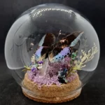 Globe entomologique avec un diorama représentant le papillon Lexias cyanipardus.