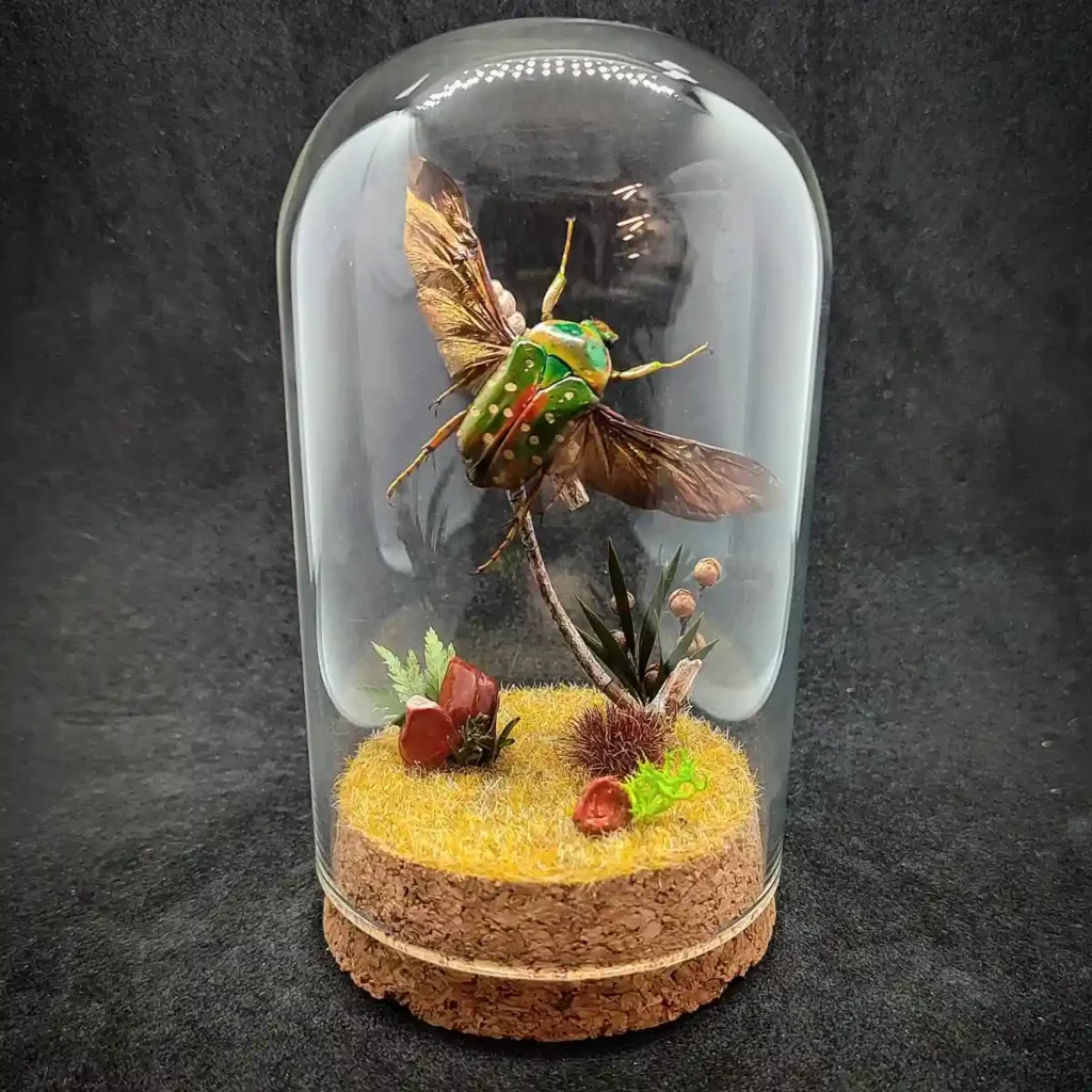 Cloche entomologique avec scarabée cétoine Stephanorrhina guttata, décoré de fleurs et de jaspe rouge.