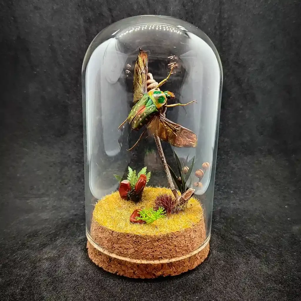 Cloche entomologique avec scarabée cétoine Stephanorrhina guttata, décoré de fleurs et de jaspe rouge.