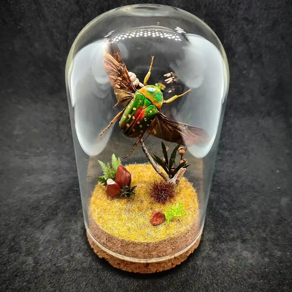 Cloche entomologique avec scarabée cétoine Stephanorrhina guttata, décoré de fleurs et de jaspe rouge.