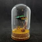 Cloche entomologique avec diorama montrant un scarabée Eudicella morgani.