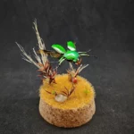 Cloche entomologique avec diorama montrant un scarabée Eudicella morgani.