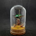 Cloche entomologique avec diorama montrant un scarabée Eudicella morgani.