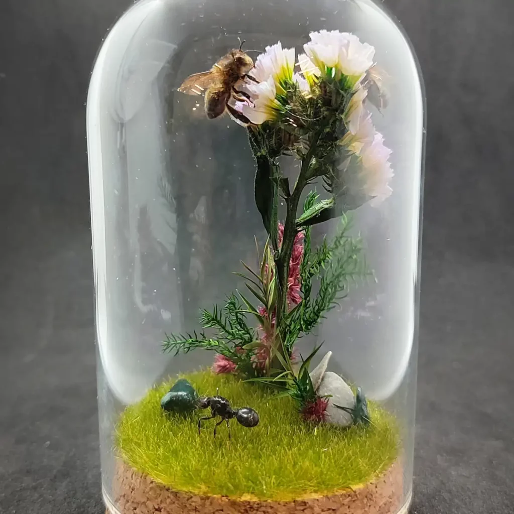 Cloche entomologique avec diorama montrant une gyne de fourmis Messor barbarus et des abeilles Apis mellifera, décoré de fleurs, de végétaux et de pierres d'agate indienne.