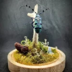 Cloche entomologique avec diorama montrant un longicorne Diastocera wallichi tricincta, décoré de bois, mousse, lichen et pierre d'opale.