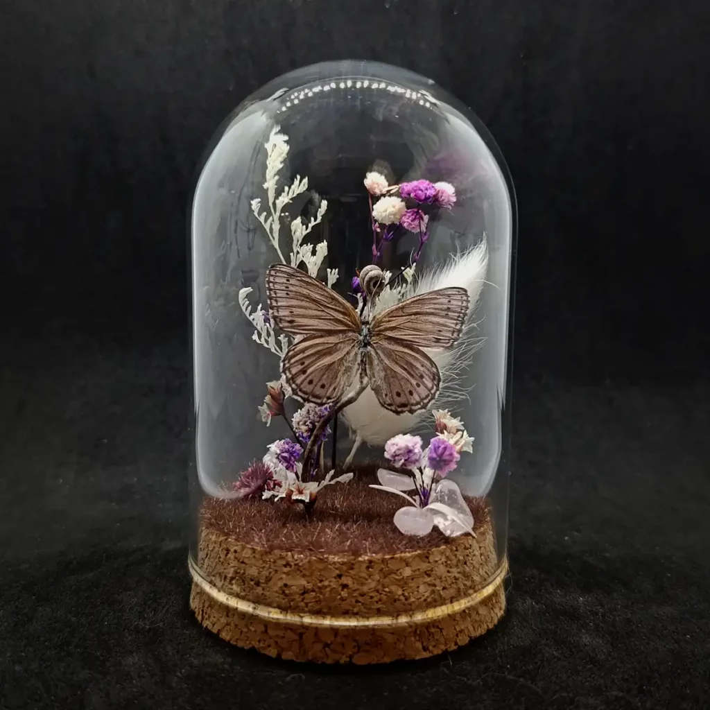 Cloche entomologique avec un papillon Sevenia pechueli, décoré de quartz rose.