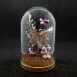 Cloche entomologique avec un papillon Sevenia pechueli, décoré de quartz rose.