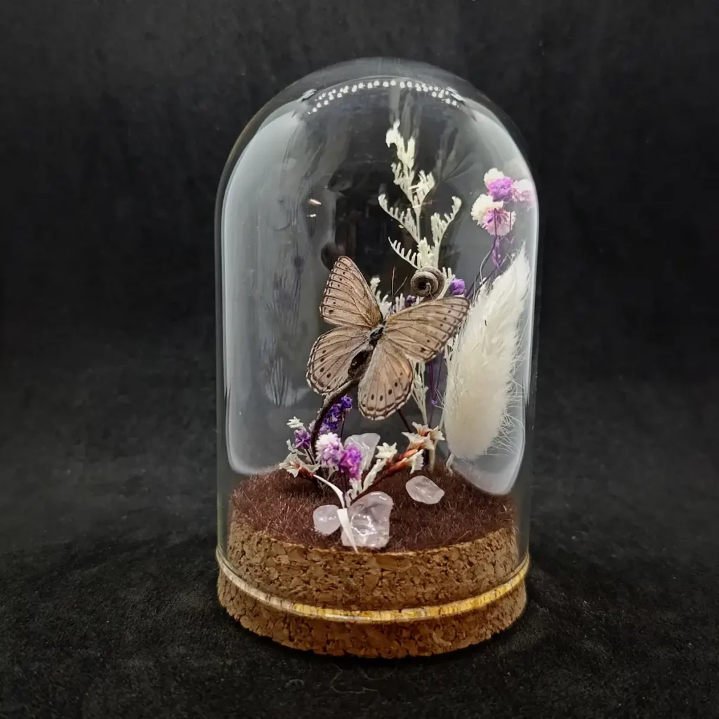 Cloche entomologique avec un papillon Sevenia pechueli, décoré de quartz rose.