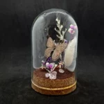 Cloche entomologique avec un papillon Sevenia pechueli, décoré de quartz rose.