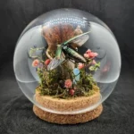 Globe entomologique avec un coléoptère Chrysochroa fulminans aurora sur mousse, végétaux et Sarracenia en opale.