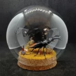 Globe entomologique avec un Hexarthrius parryi.