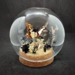 Globe entomologique avec un papillon Graphium angolanus en taxidermie, sur un décor de pierre d'obsidienne et de fleurs séchées.