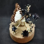 Globe entomologique avec un papillon Graphium angolanus en taxidermie, sur un décor de pierre d'obsidienne et de fleurs séchées.