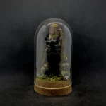 Cloche entomologique en verre avec lucane cerf-volant Lucanus cervus sur diorama de mousses et bois
