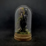 Cloche entomologique en verre avec lucane cerf-volant Lucanus cervus sur diorama de mousses et bois