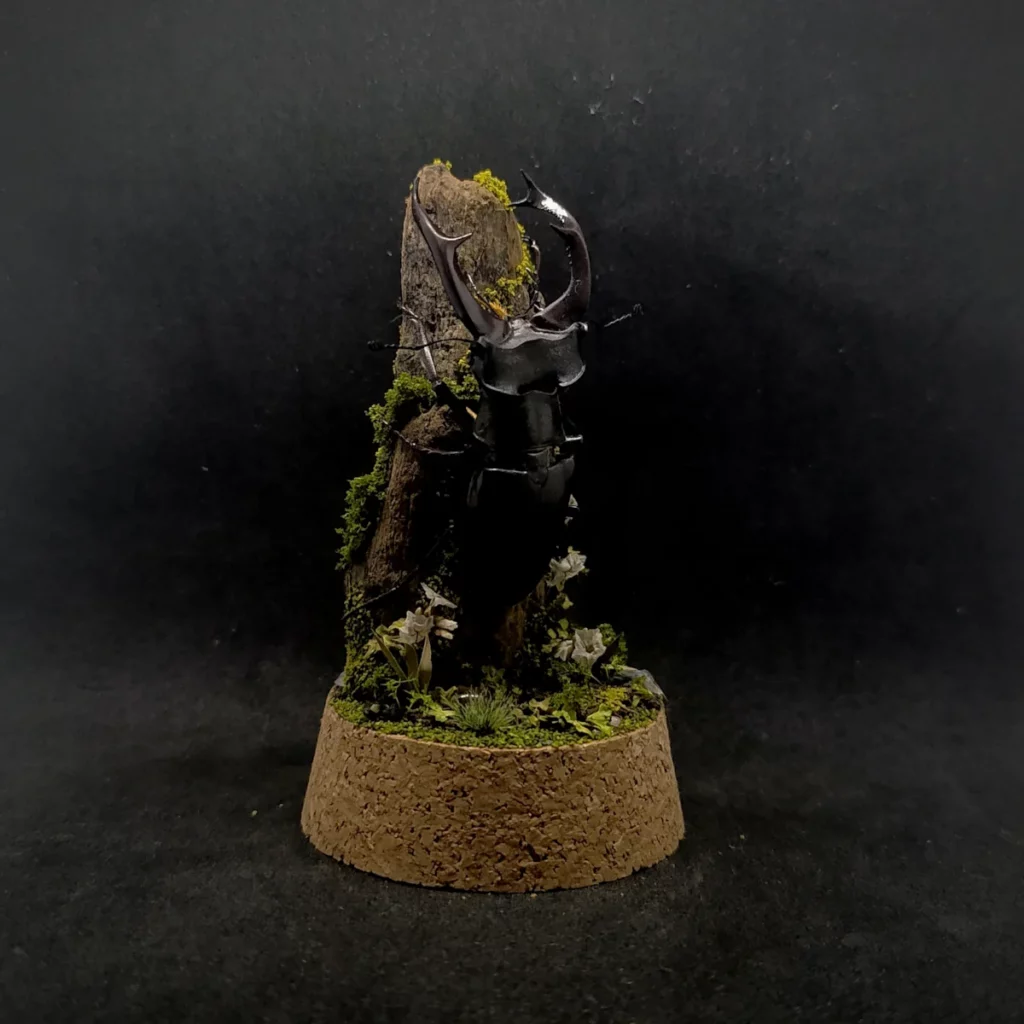 Cloche entomologique en verre avec lucane cerf-volant Lucanus cervus sur diorama de mousses et bois